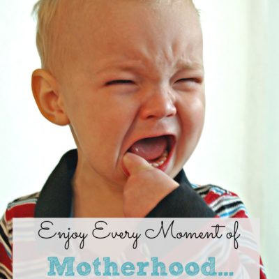 Enjoy Every Moment of Motherhood…I Don’t Think So!!